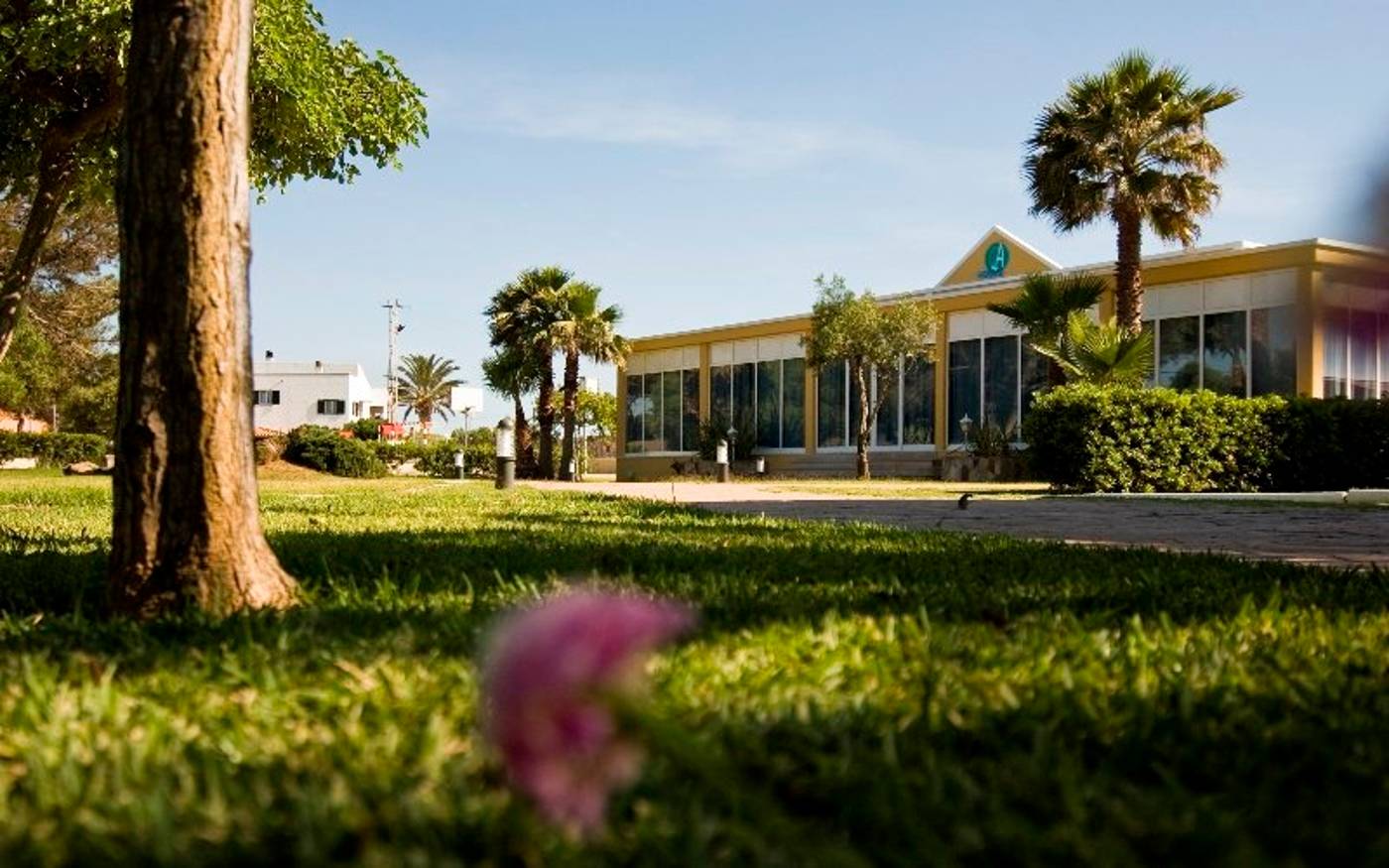 Club-Andria-General-view-23