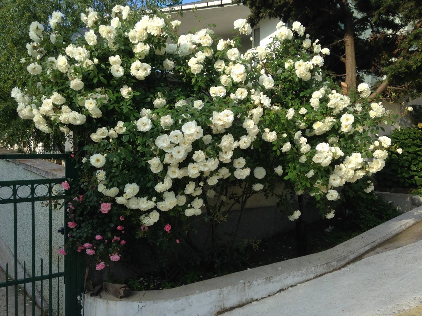 Hotel-Zora-Terrace-27