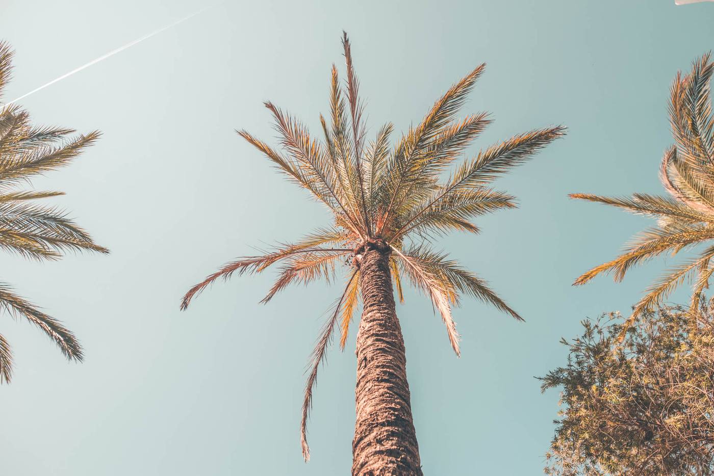 Ibiza-Rocks-Hotel-Beach-29