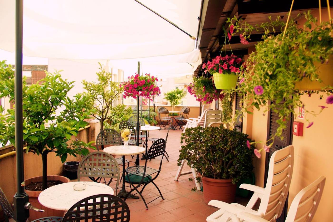 Novecento-Restaurant-11