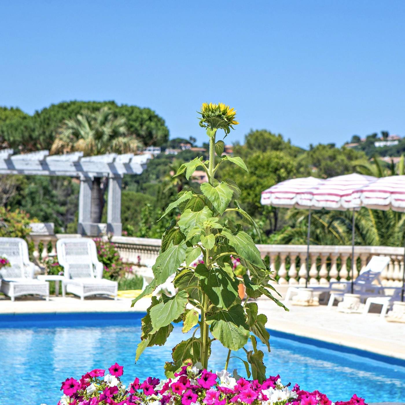 Chateau-de-Mei-Lese-Sports-and-Entertainment-8