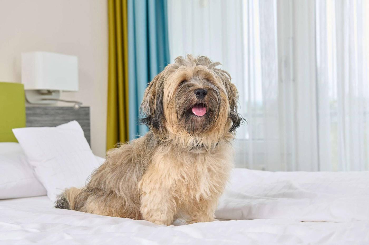 Si-Suites-Germany-Stuttgart-General view-5