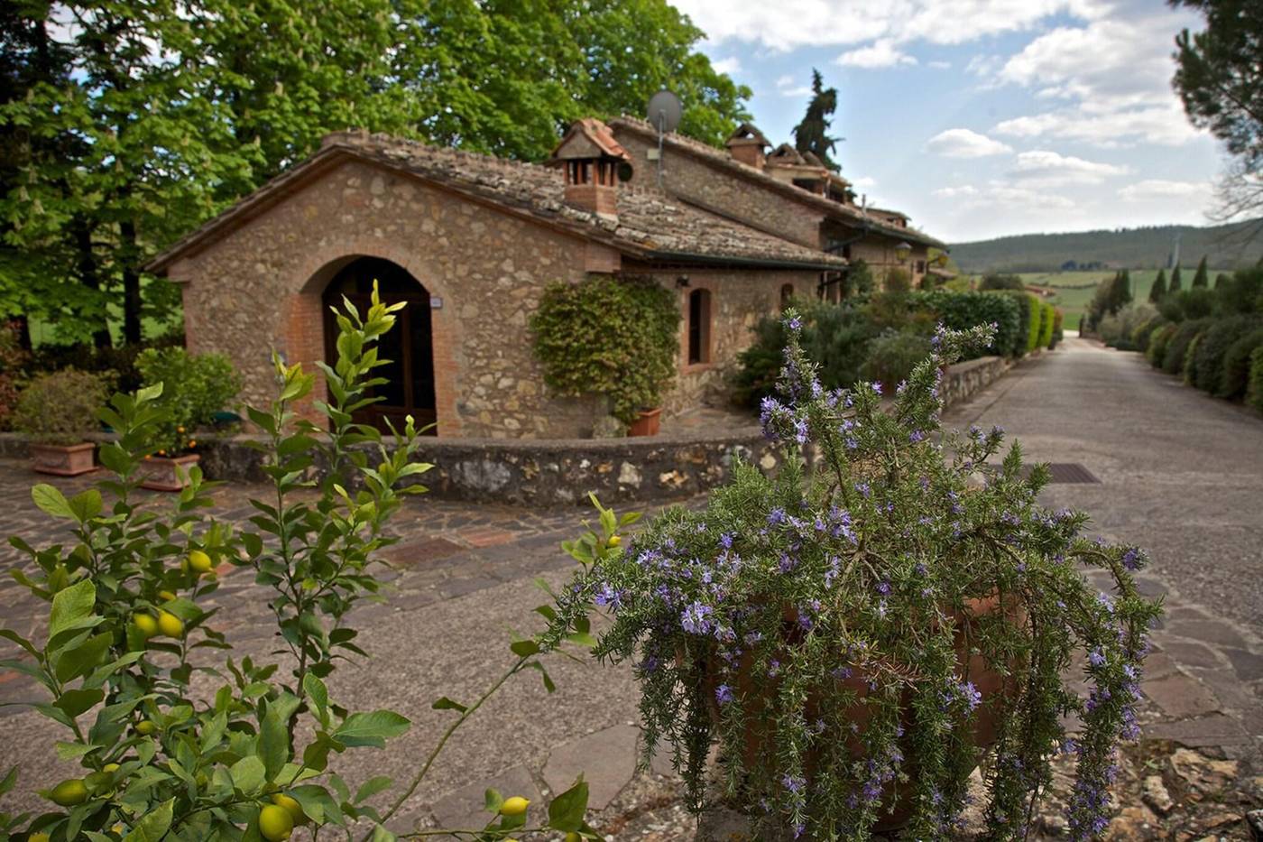 Borgo Il Poggiaccio-Italy-Sovicille-General view-7