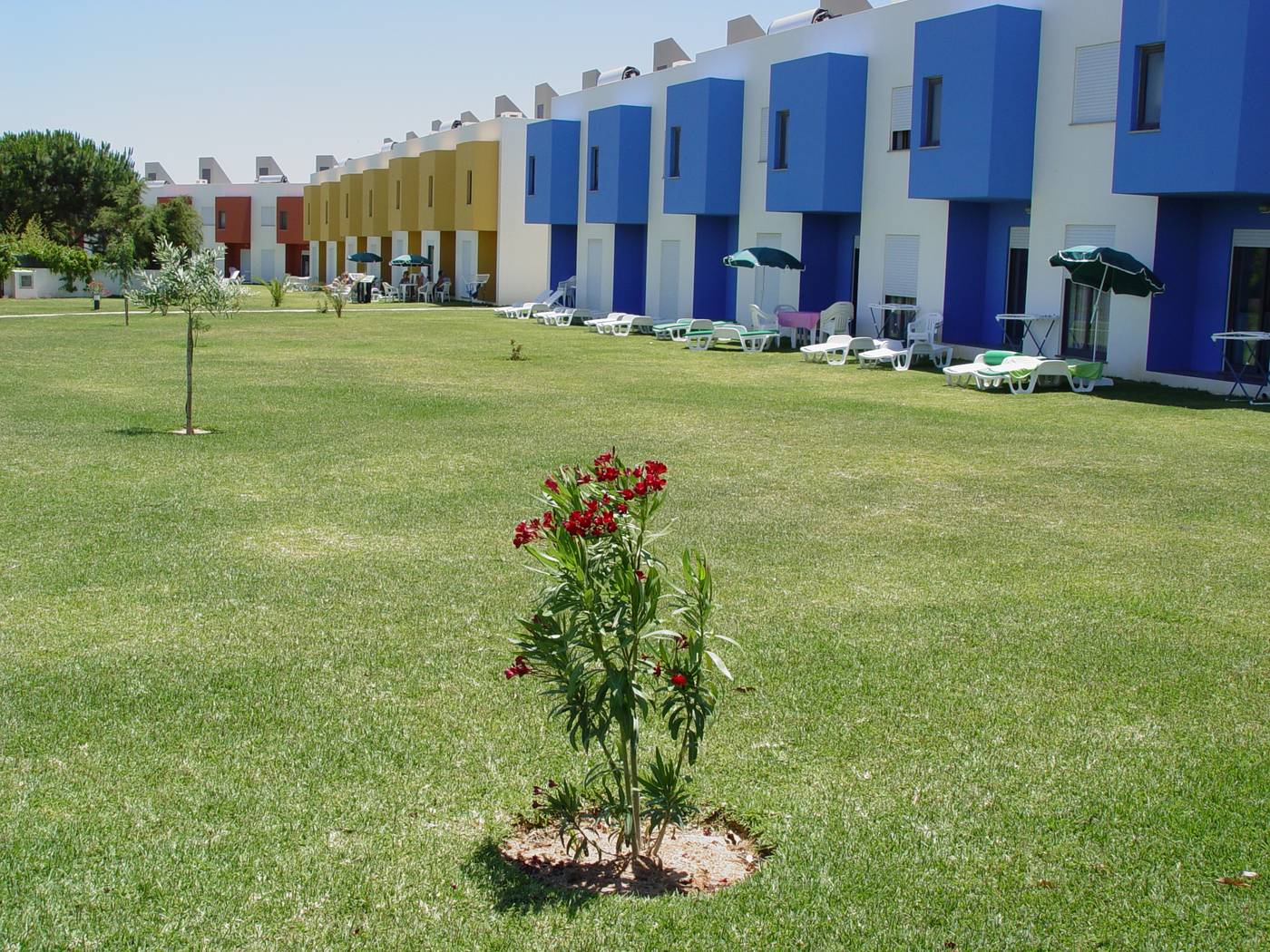 Quinta-Das-Figueirinhas-General-view-14