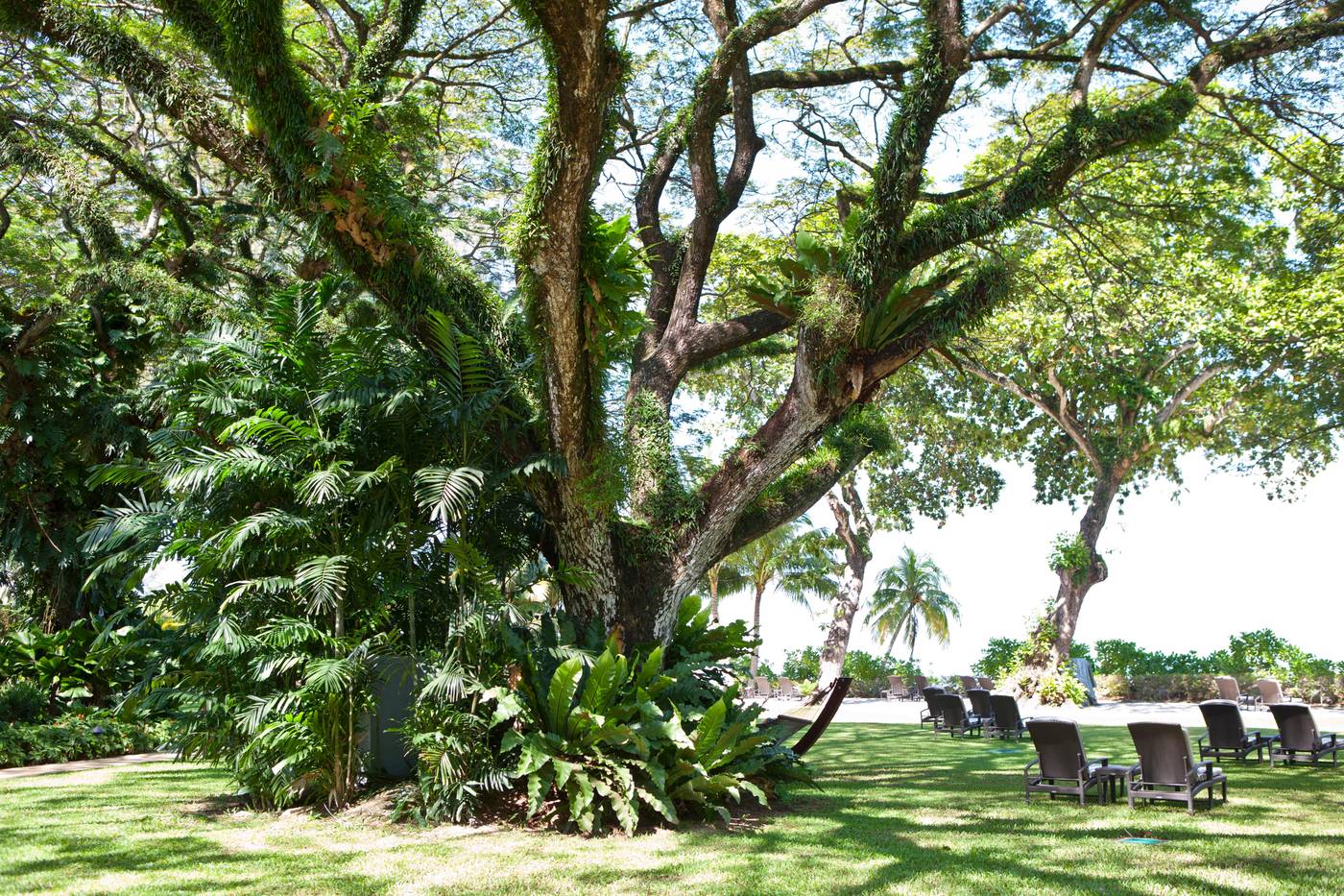 Shangri-La Rasa Sayang, Penang-Malaysia-Batu Feringgi-General view-8