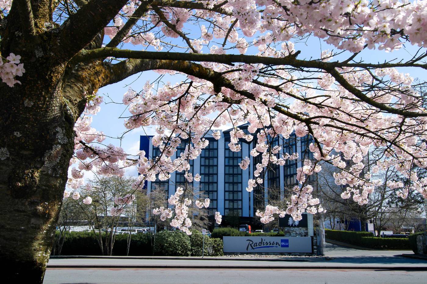 Radisson-Blu-Vancouver-Airport-General-view-51