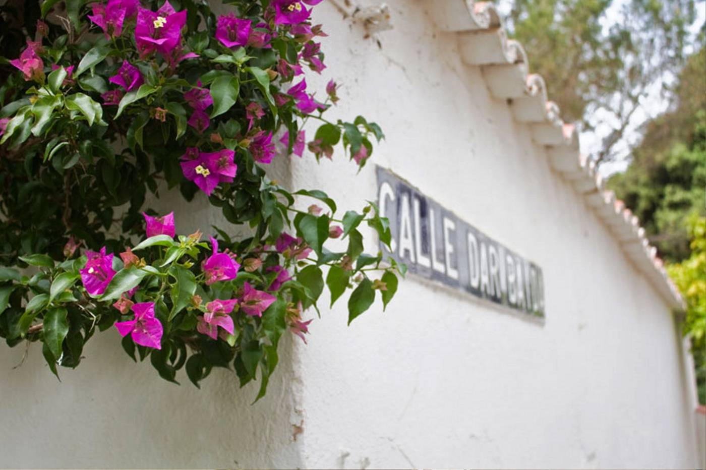 Minura-Cala-Galdana---Apartamentos-D-Aljandar-General-view-23