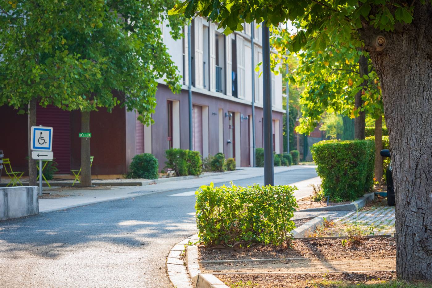 Cerise Carcassonne Sud-France-CARCASSONNE-General view-8