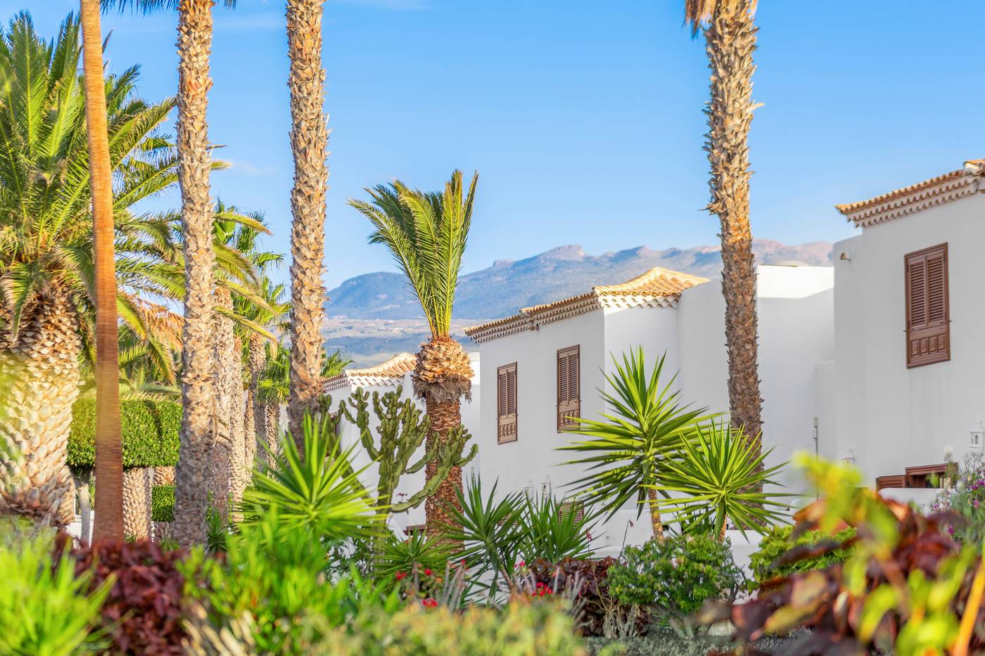 Royal-Tenerife-Country-Club-General-view-13