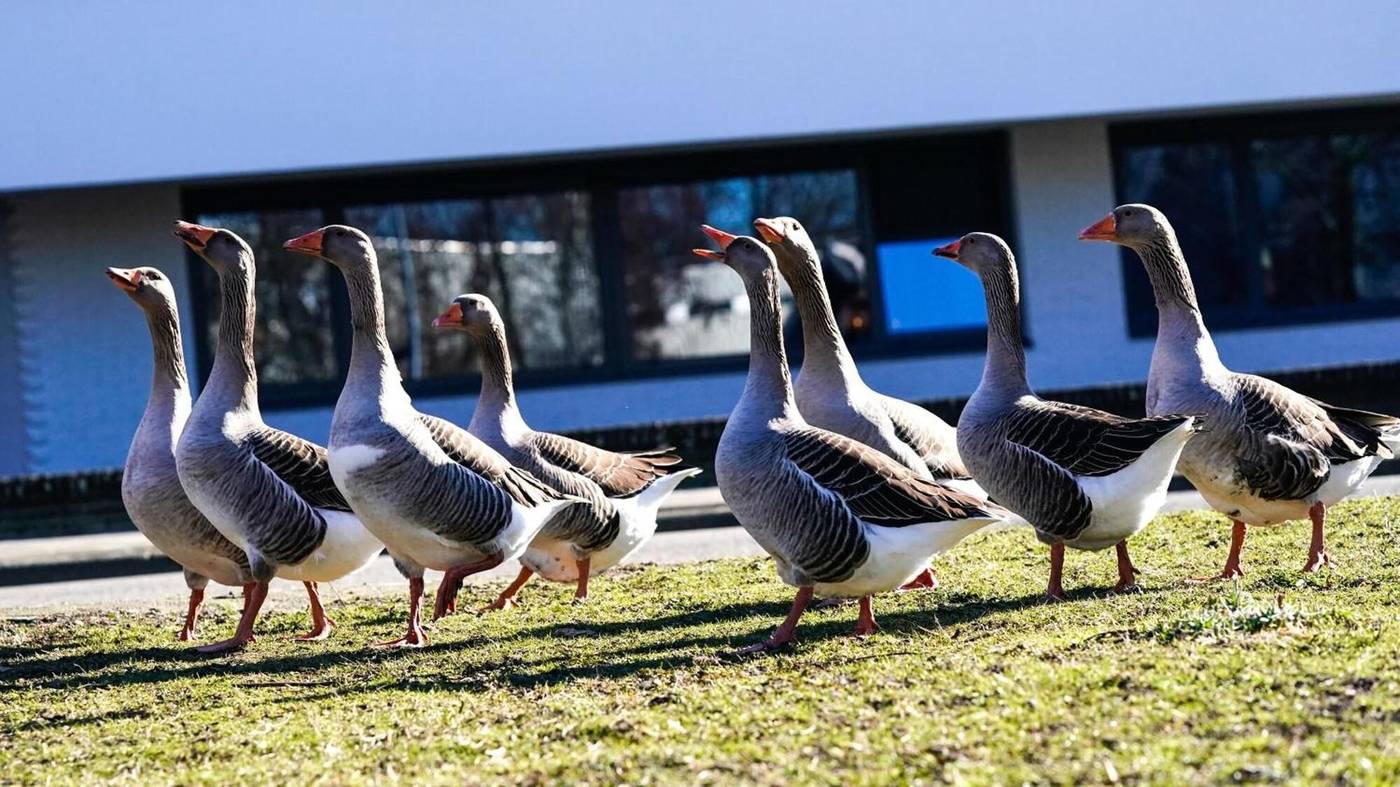 Amrath-Apart-Hotel-Schiphol-Badhoevedorp-Sports-and-Entertainment-12