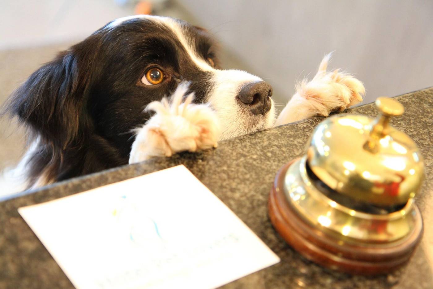 Hotel-Marina-Room-11