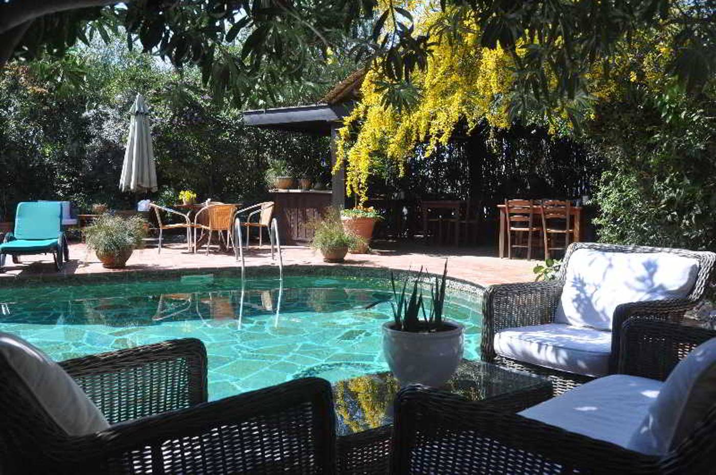 El-Vino-Hotel-Suites-Pool-2