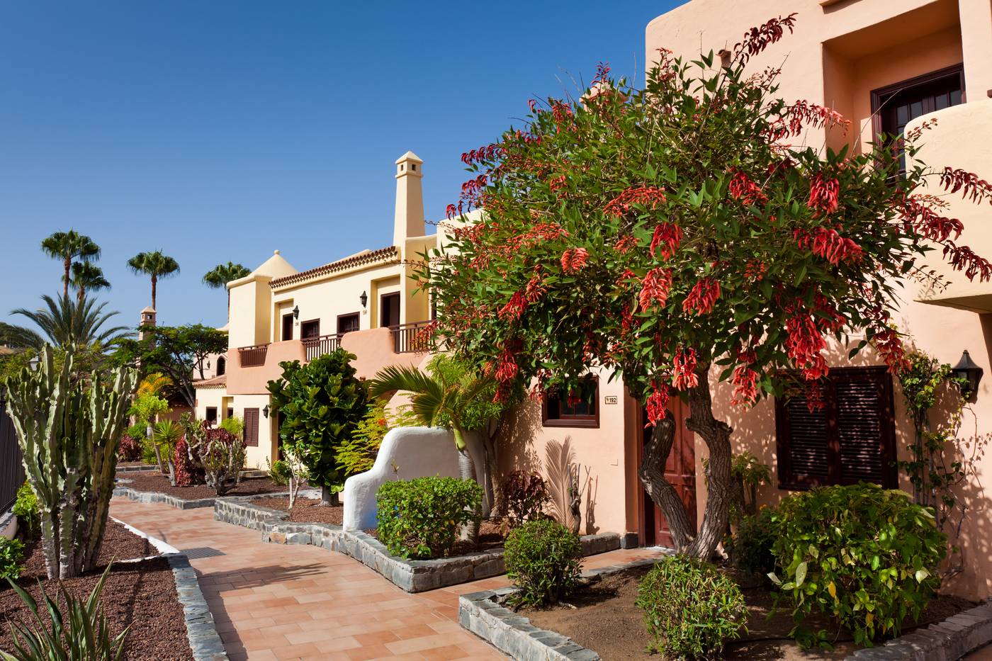 Tagoro-Costa-Adeje-General-view-11