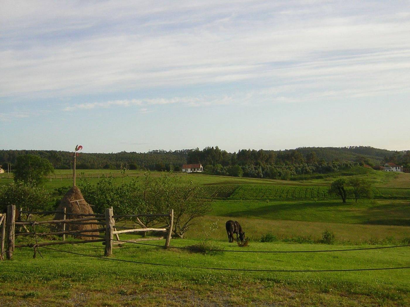 La Llosa De Fombona-Spain-SUSACASA-General view-4
