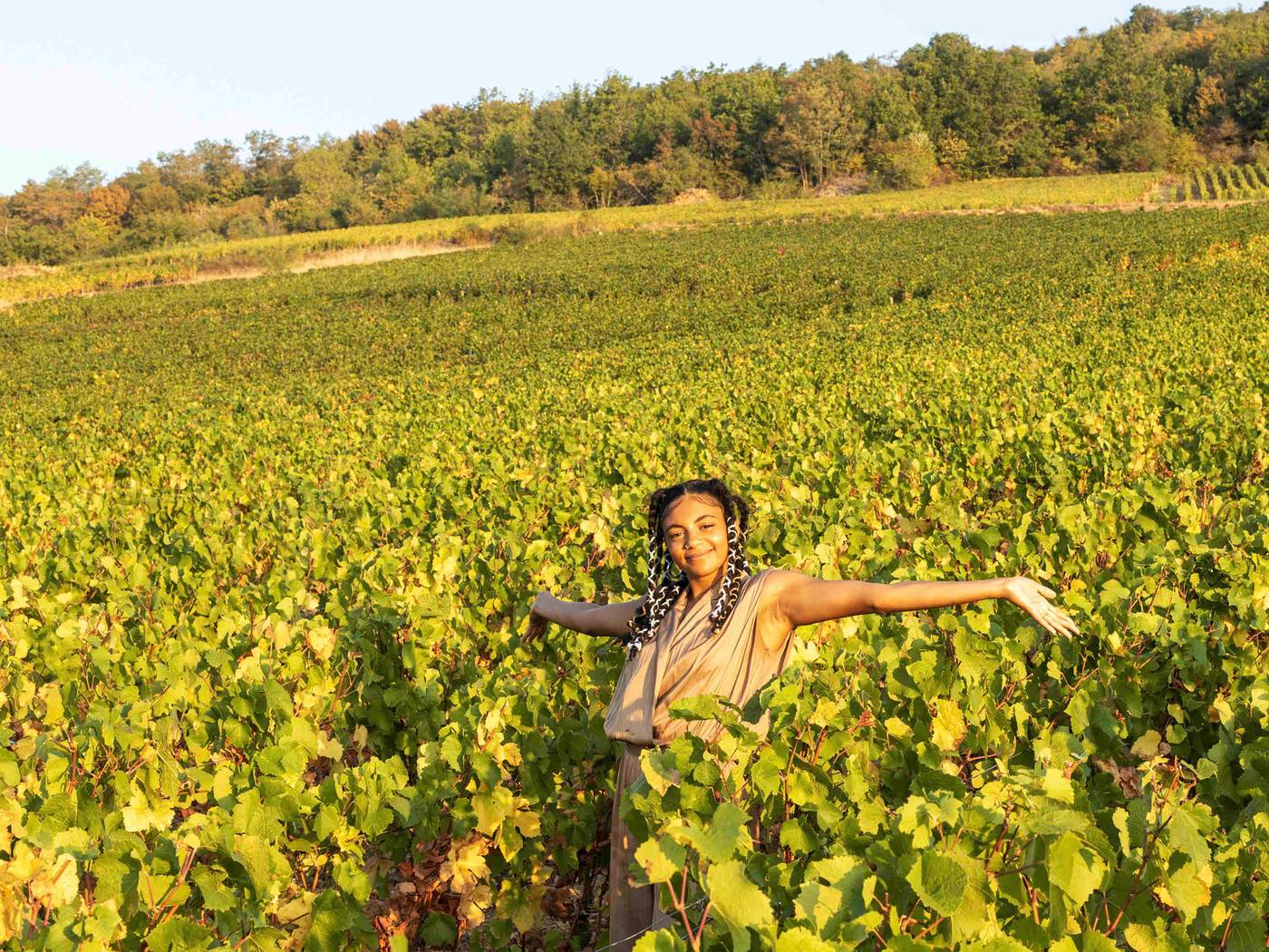 greet hotel Annecy Cran Gevrier-France-CRAN GEVRIER-General view-1