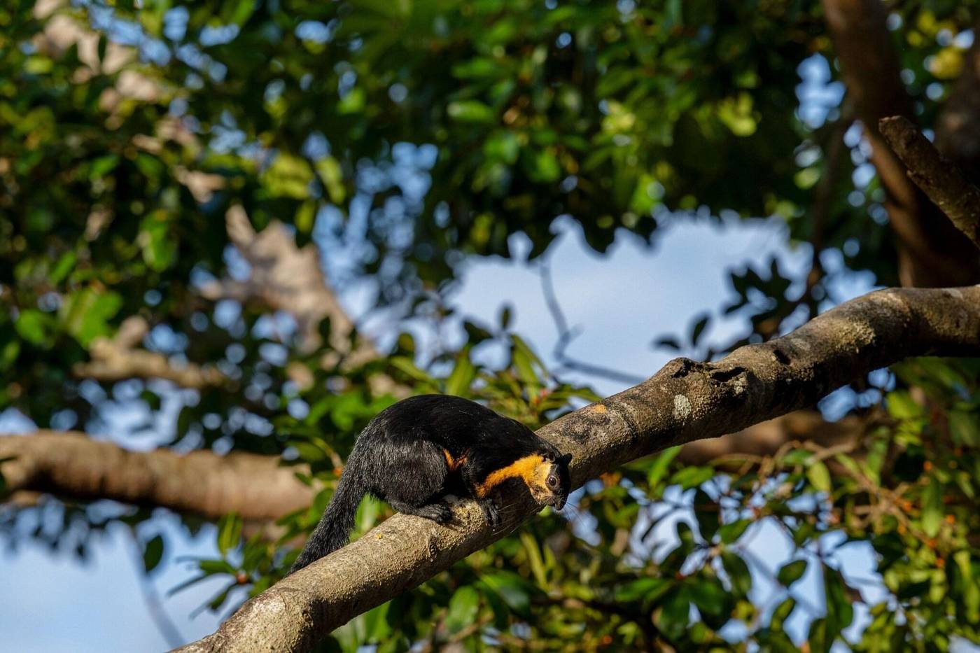 The Ritz-Carlton, Langkawi-Malaysia-Langkawi-General view-10