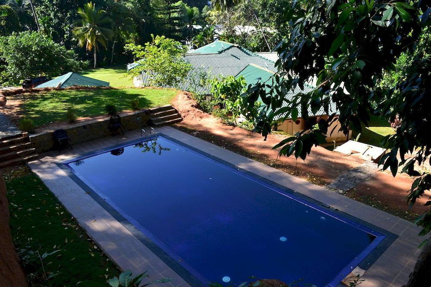 Sweet-Cinnamon-General-view-2