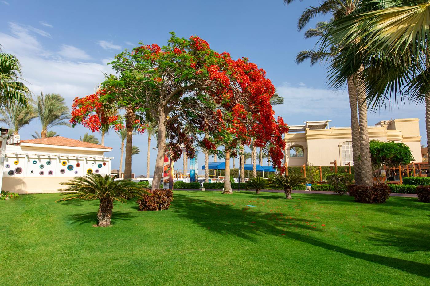Rixos-Sharm-El-Sheikh-General-view-19