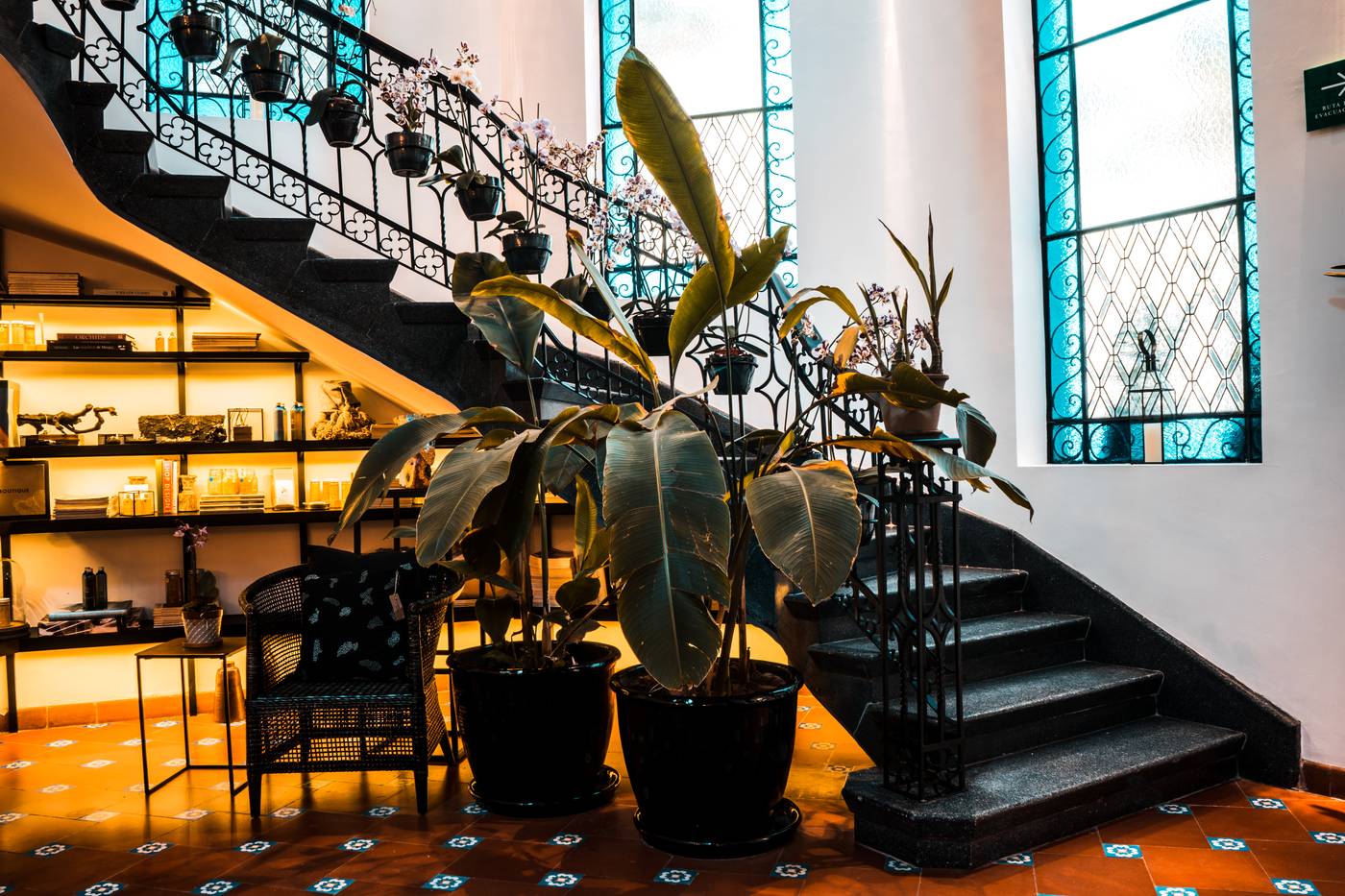 Orchid House Polanco-Mexico-Ciudad de México-Lobby-7