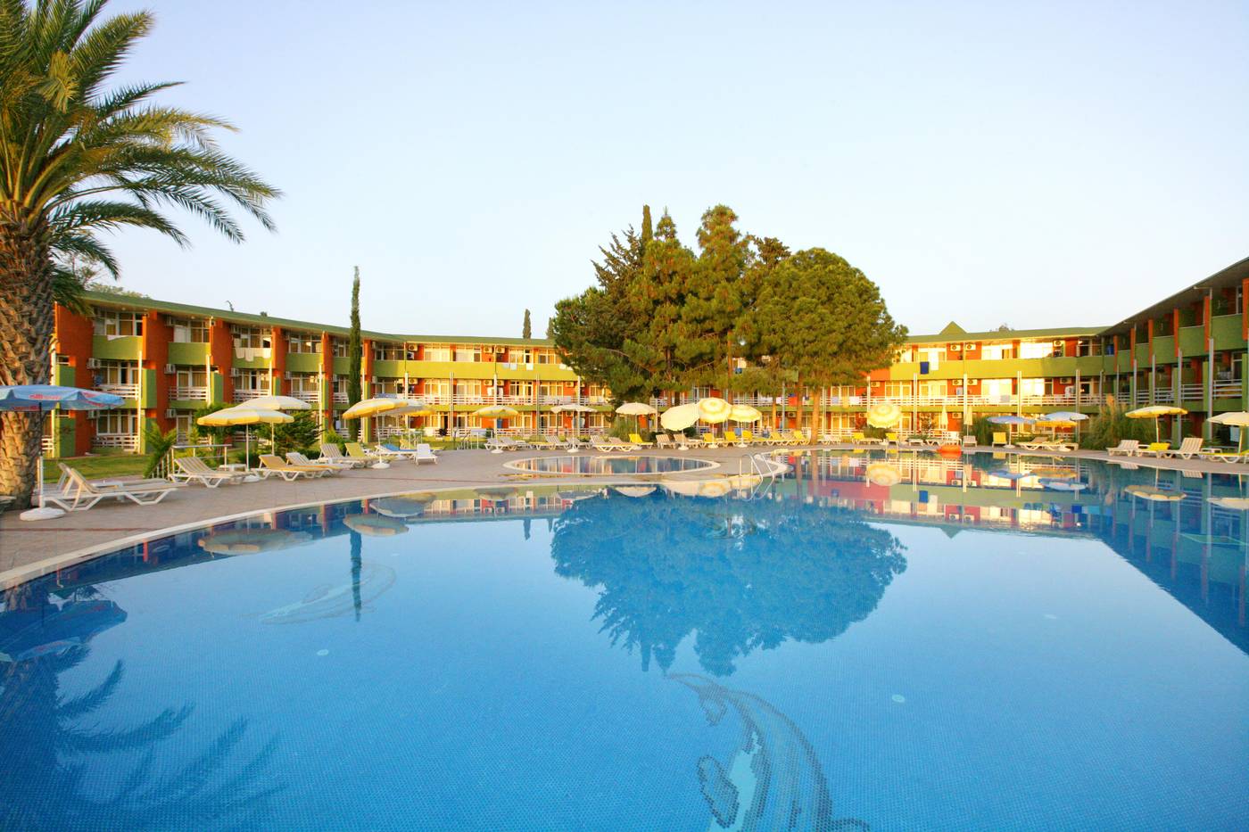 Lonicera--World-Pool-6