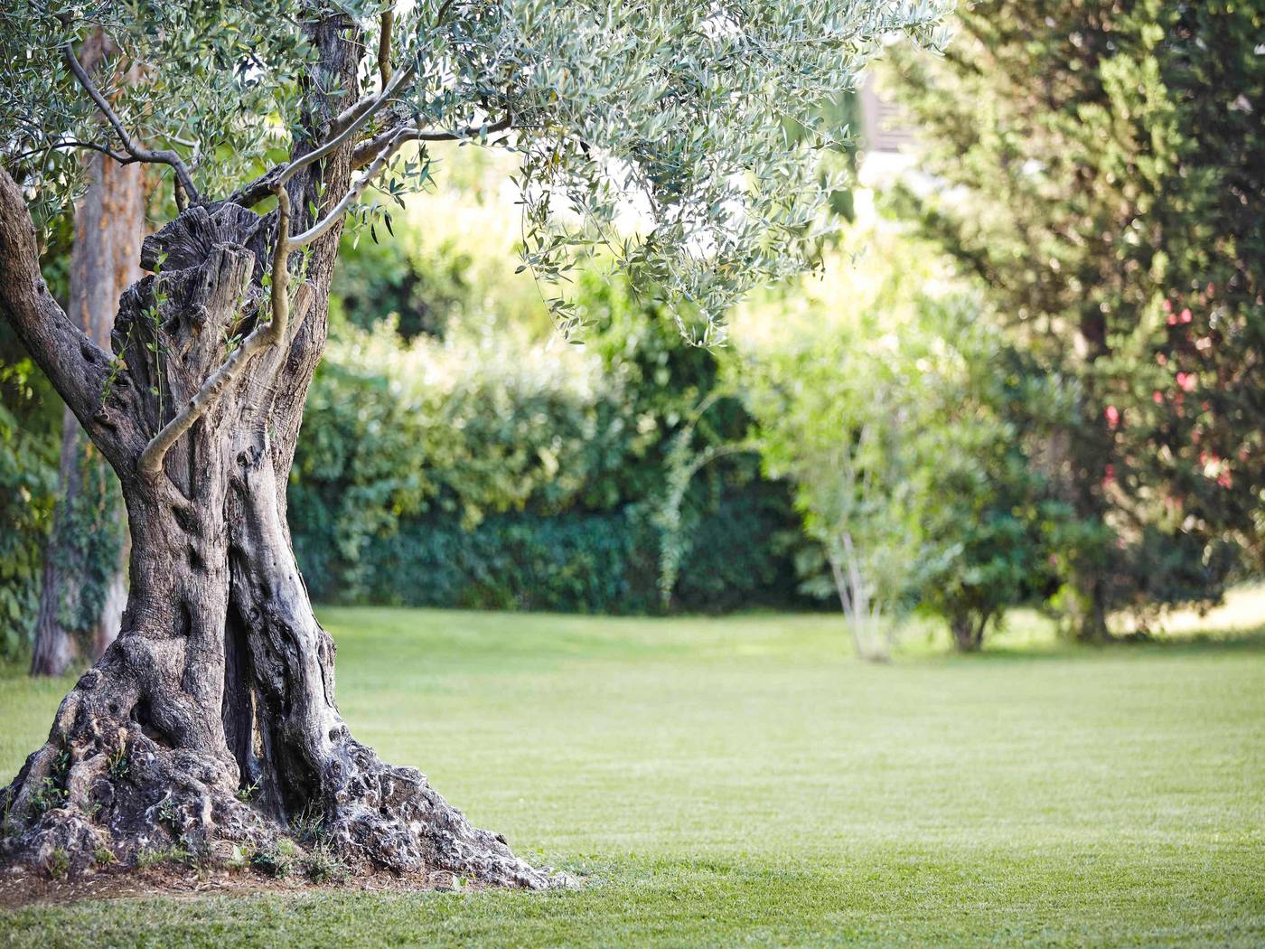 Novotel-Madrid-Center-General-view-83