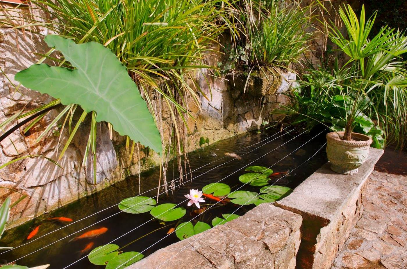 Neptuno-General-view-6