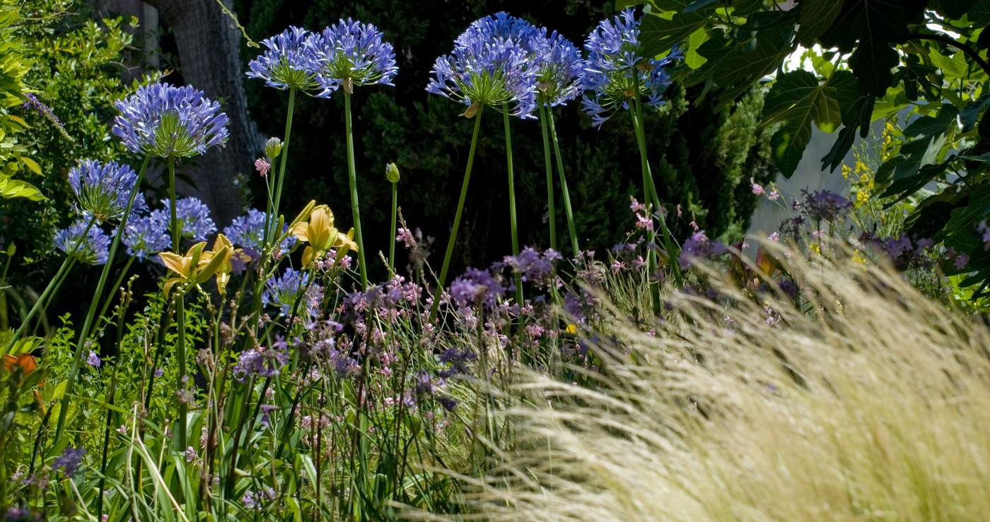 Hotel-Lucrezia-General-view-3