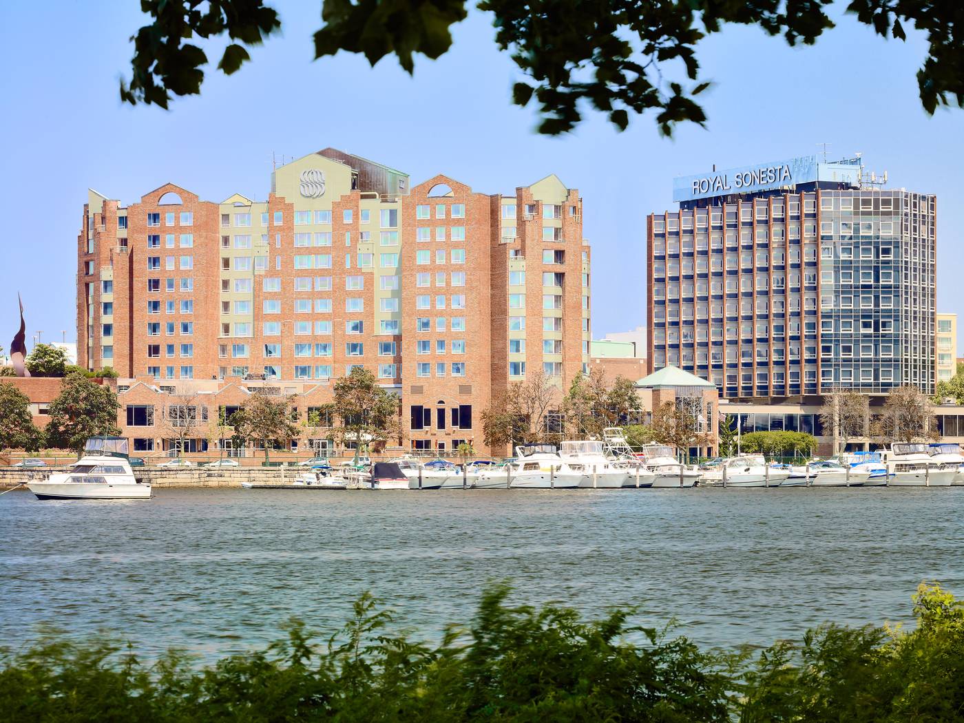 The-Royal-Sonesta-Boston-General-view-65