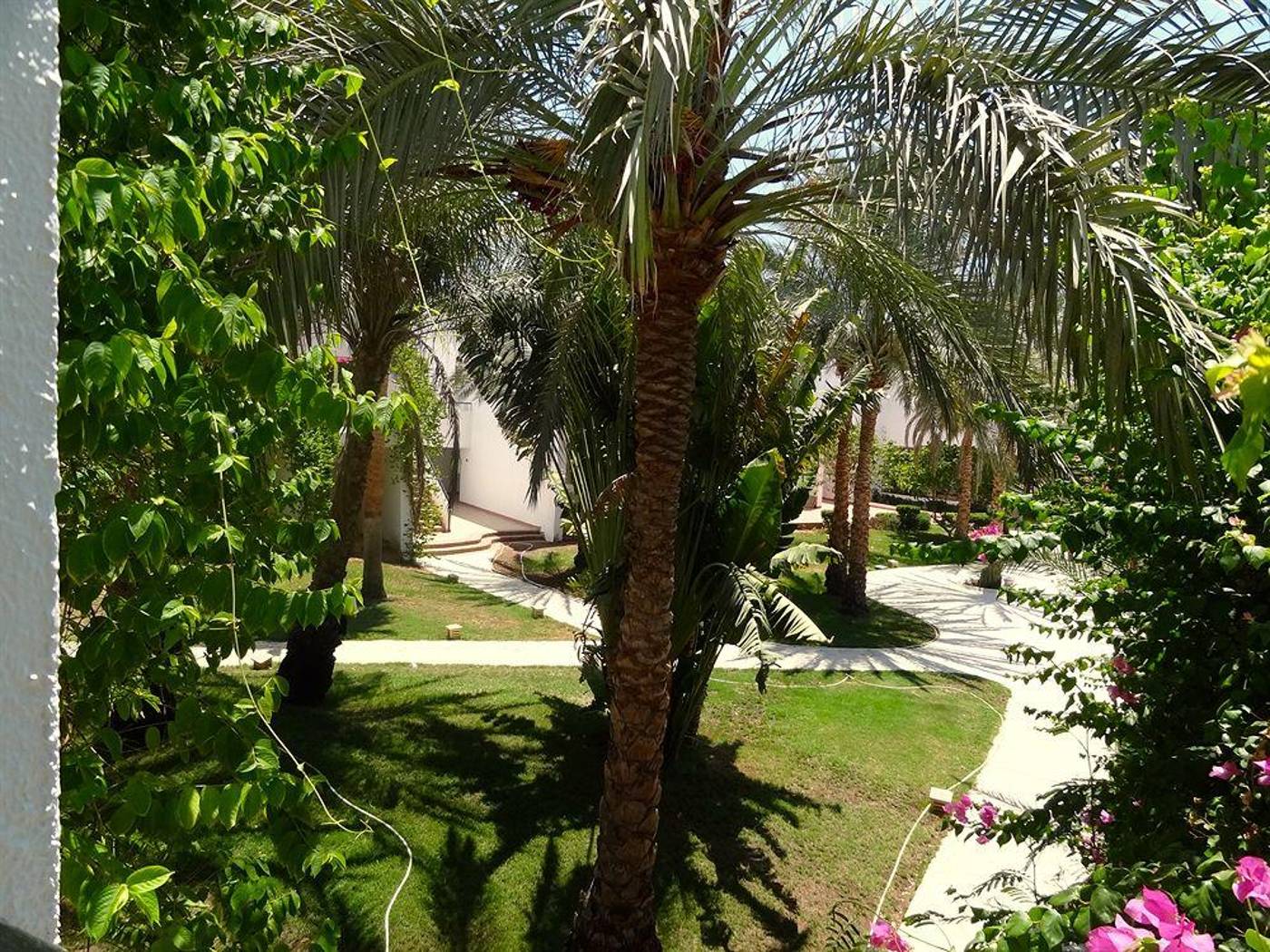 Luna-Sharm-General-view-6