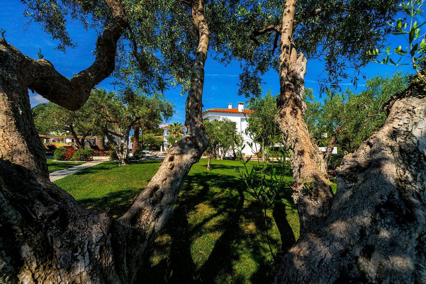 Flegra-Palace-General-view-11