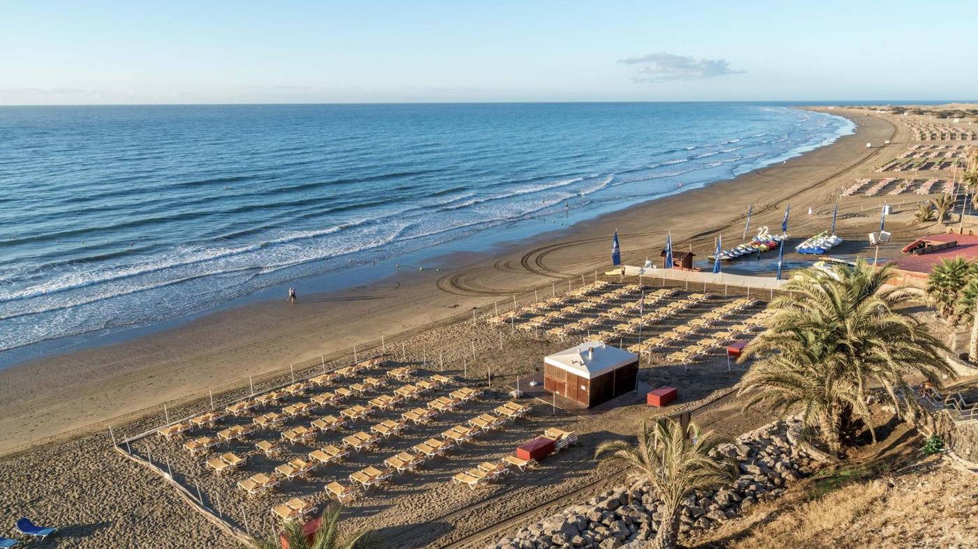 Strelitzias-Beach-26