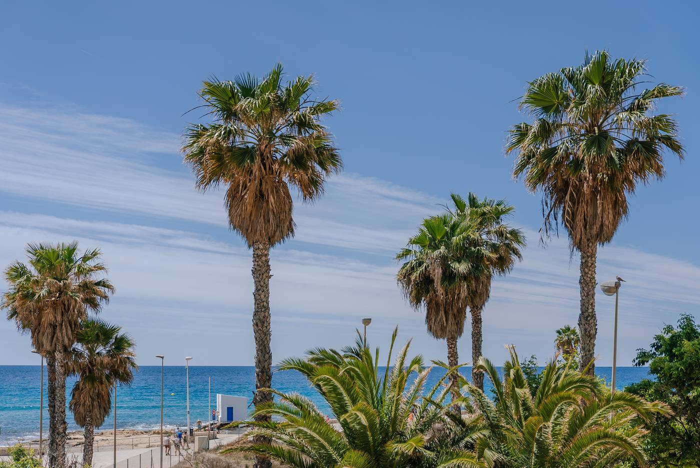 Port-Europa--General-view-55