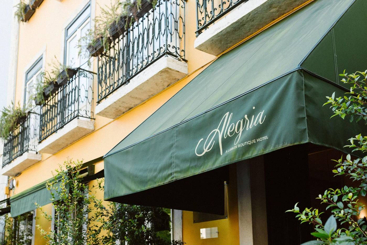 Alegria-A-Lisbon-Boutique-Hotel-General-view-4