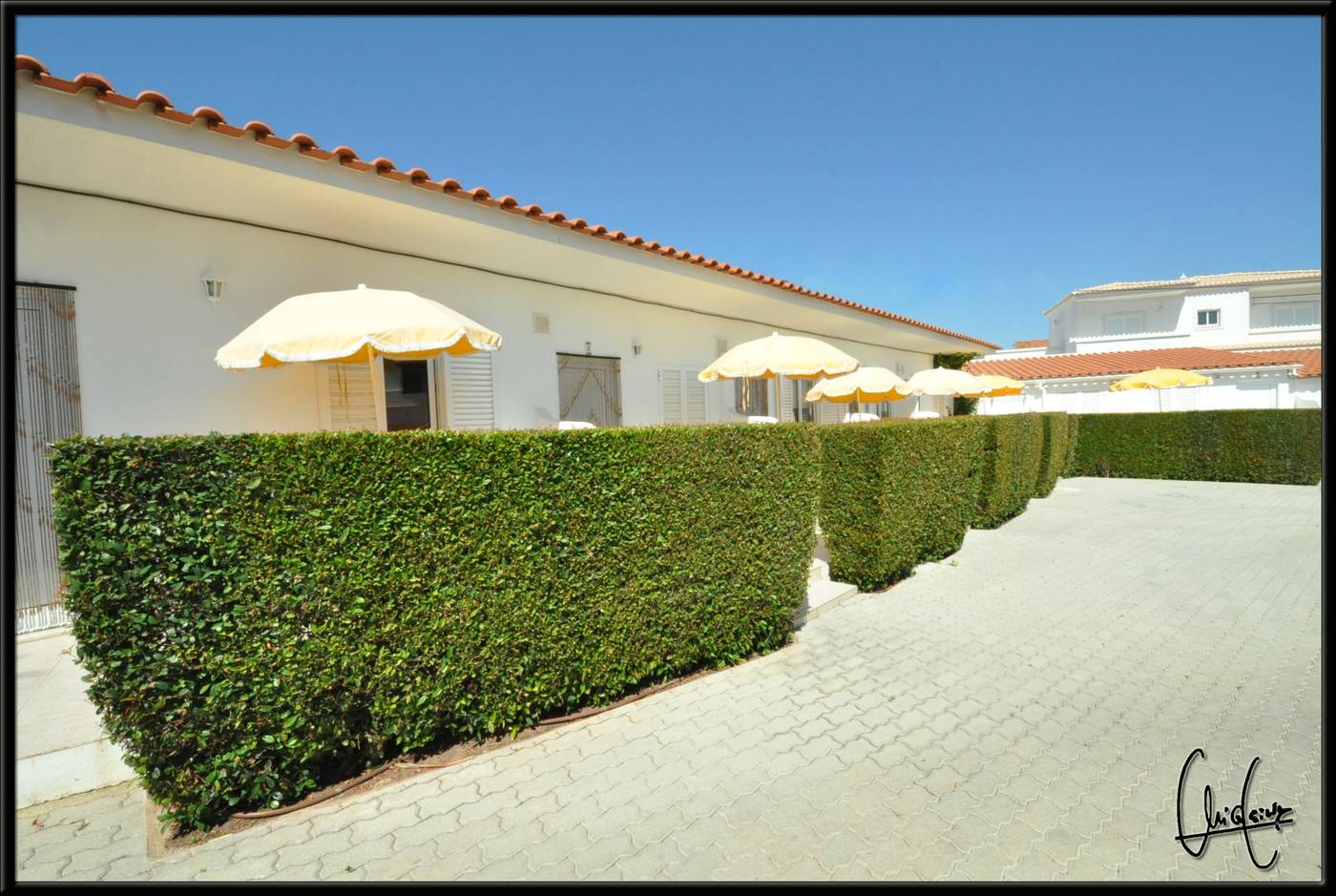 Flor-Da-Laranja-Room-18