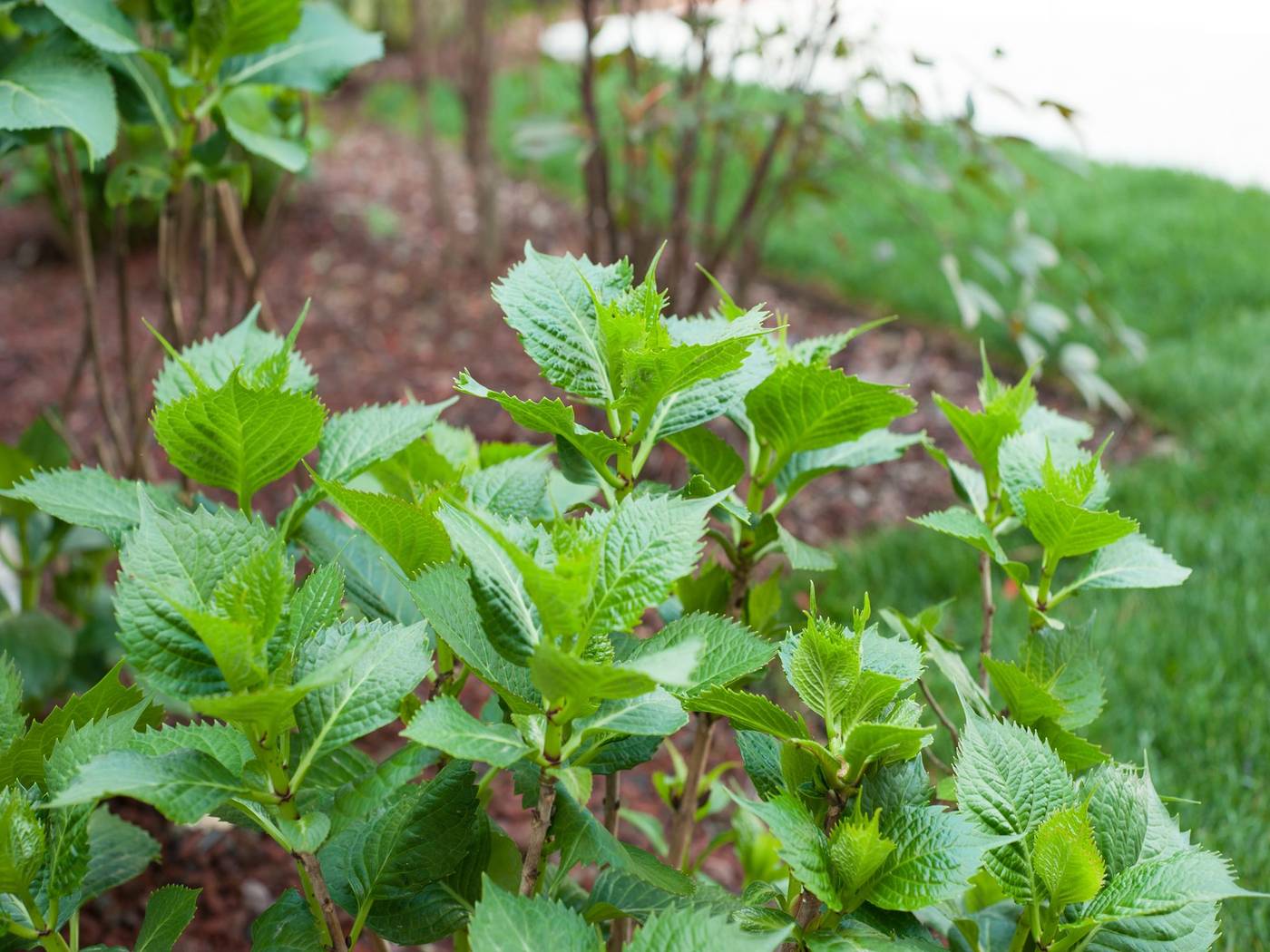 Villa-Gasparini-Terrace-62