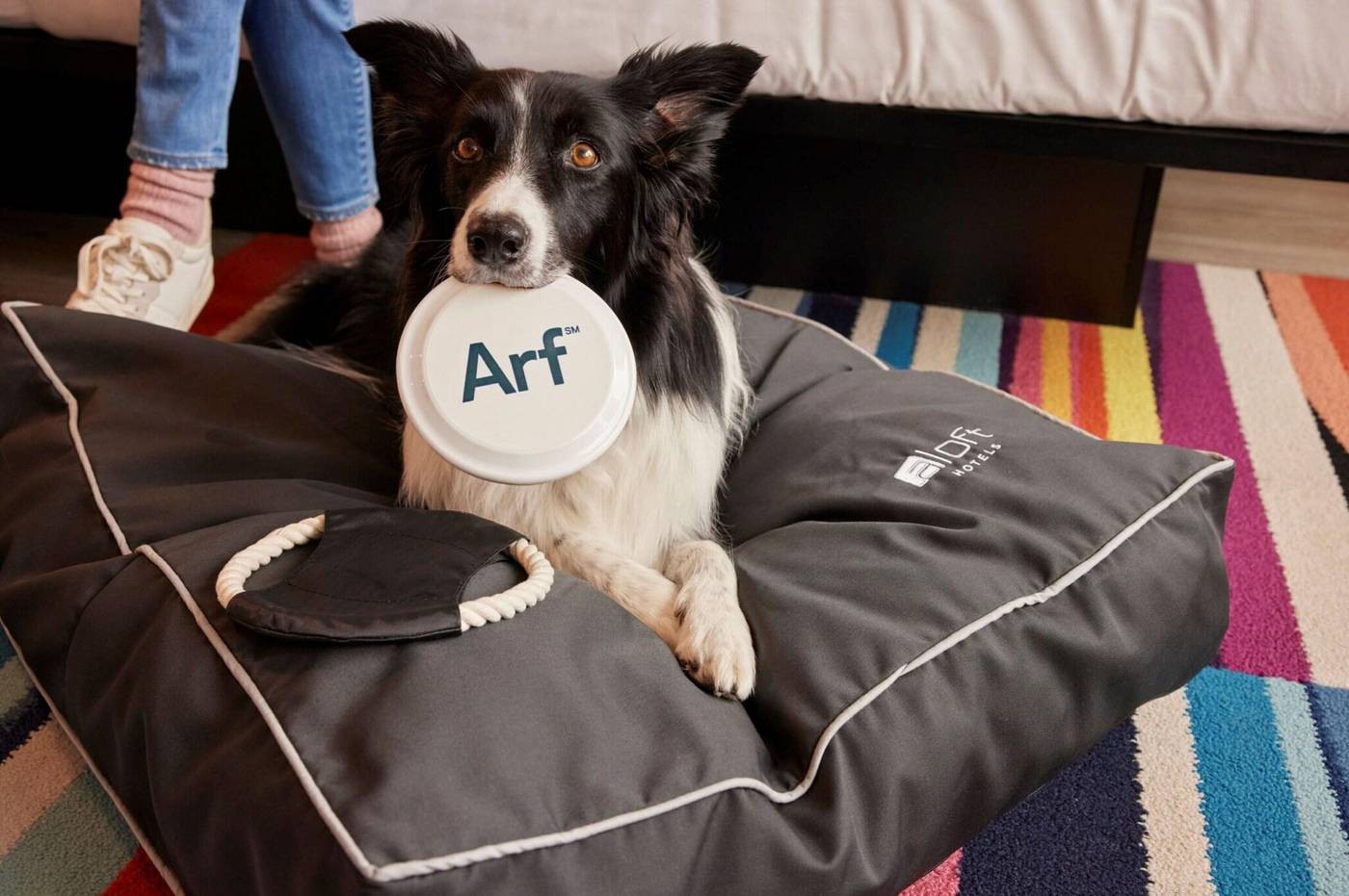 Aloft-Dublin-City-General-view-49