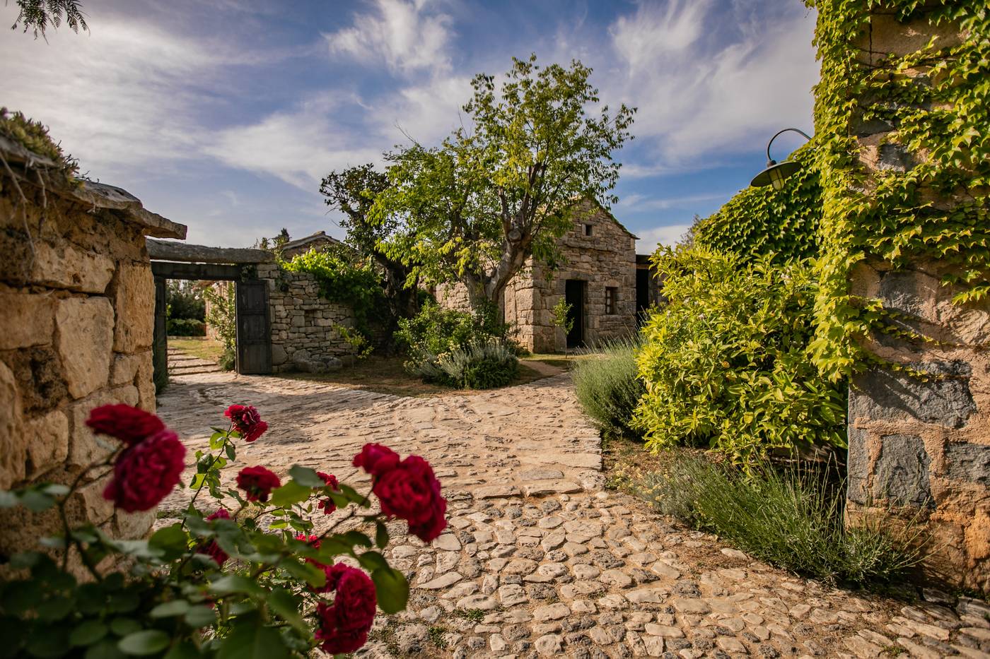 Amadria-Park-Ivan-Sports-and-Entertainment-17