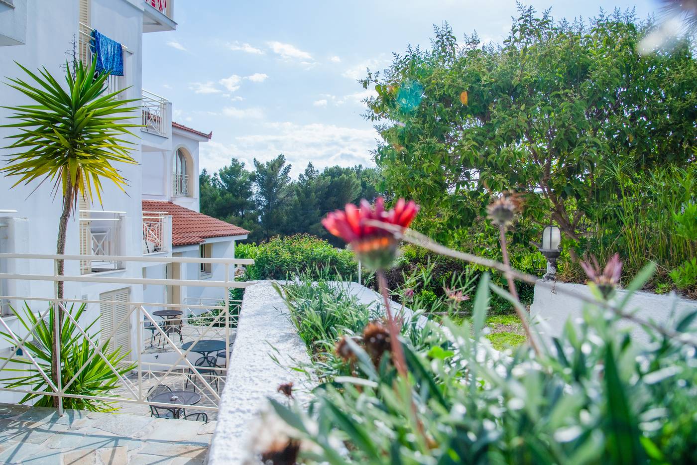 Princess-Hotel-Room-14