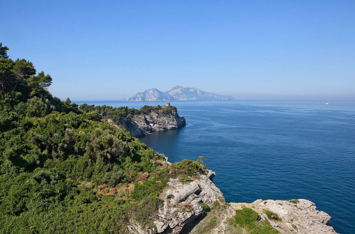 Delfino-General-view-73