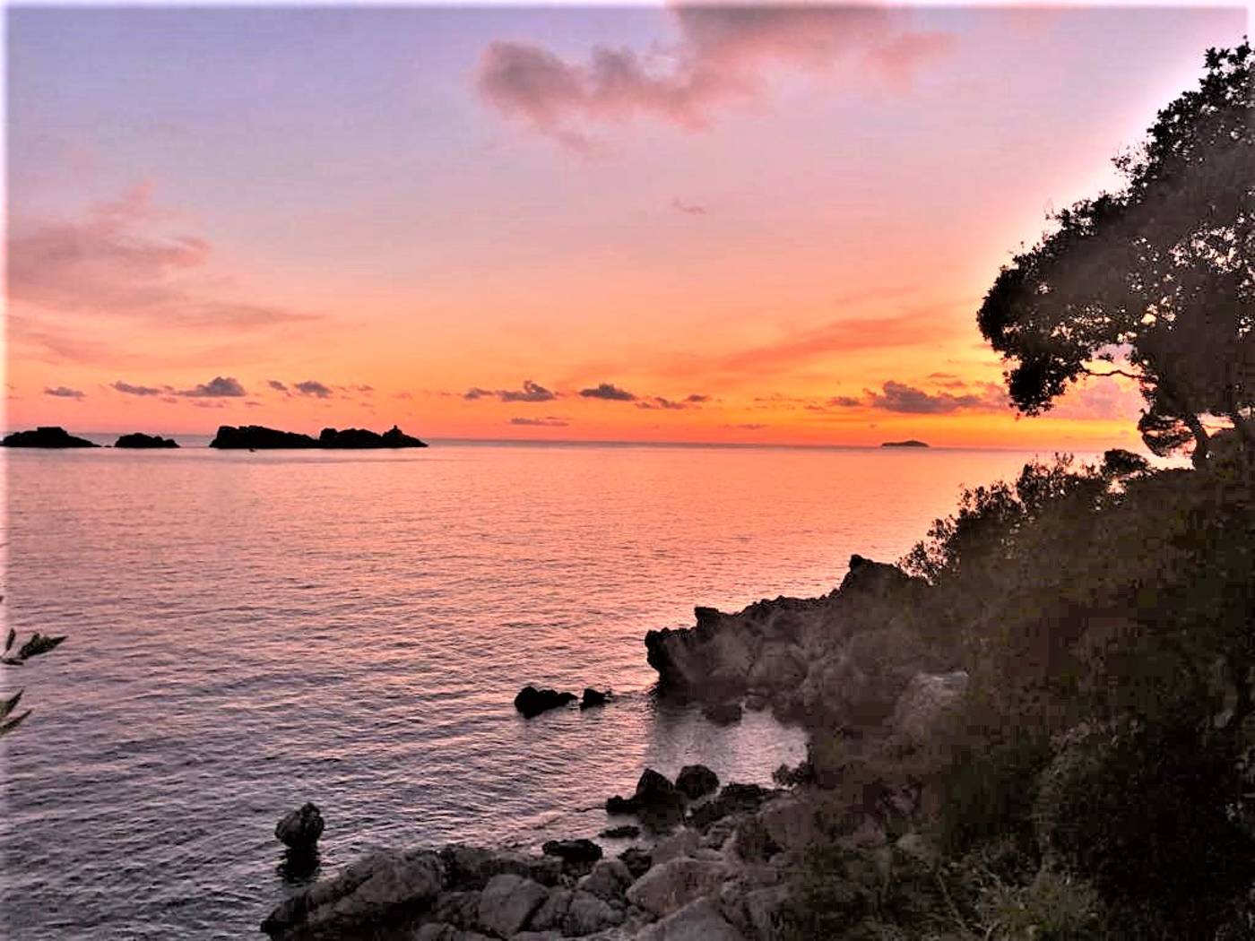 Hotel-Royal-Ariston-Beach-72