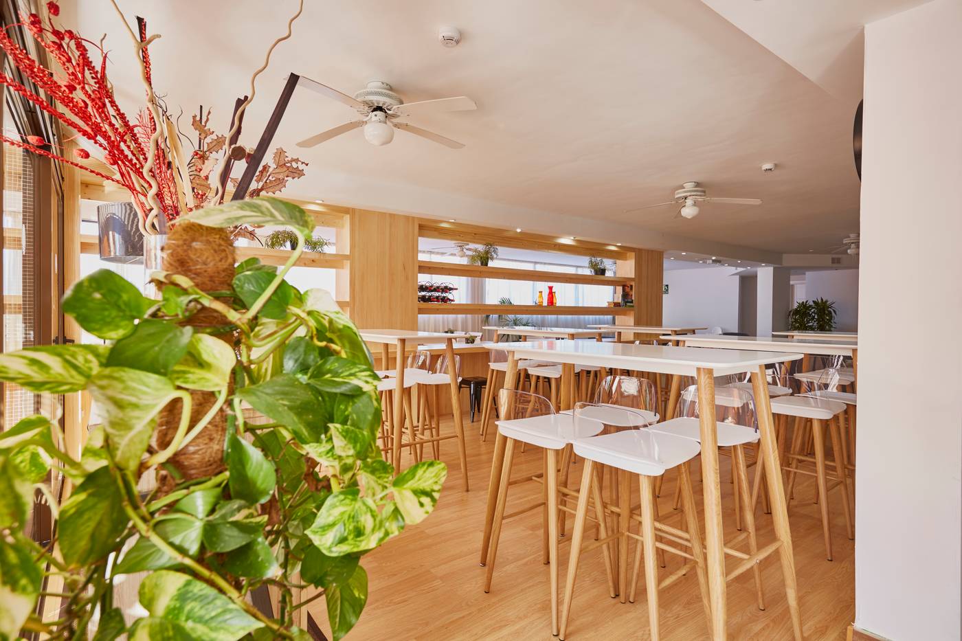 Coral-Los-Alisios-Bar-43