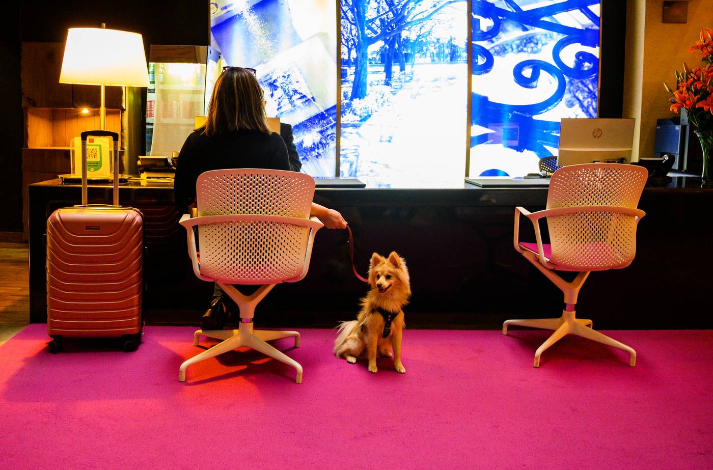 Las Suites Campos Elíseos-Mexico-CIUDAD DE MEXICO-Lobby-6