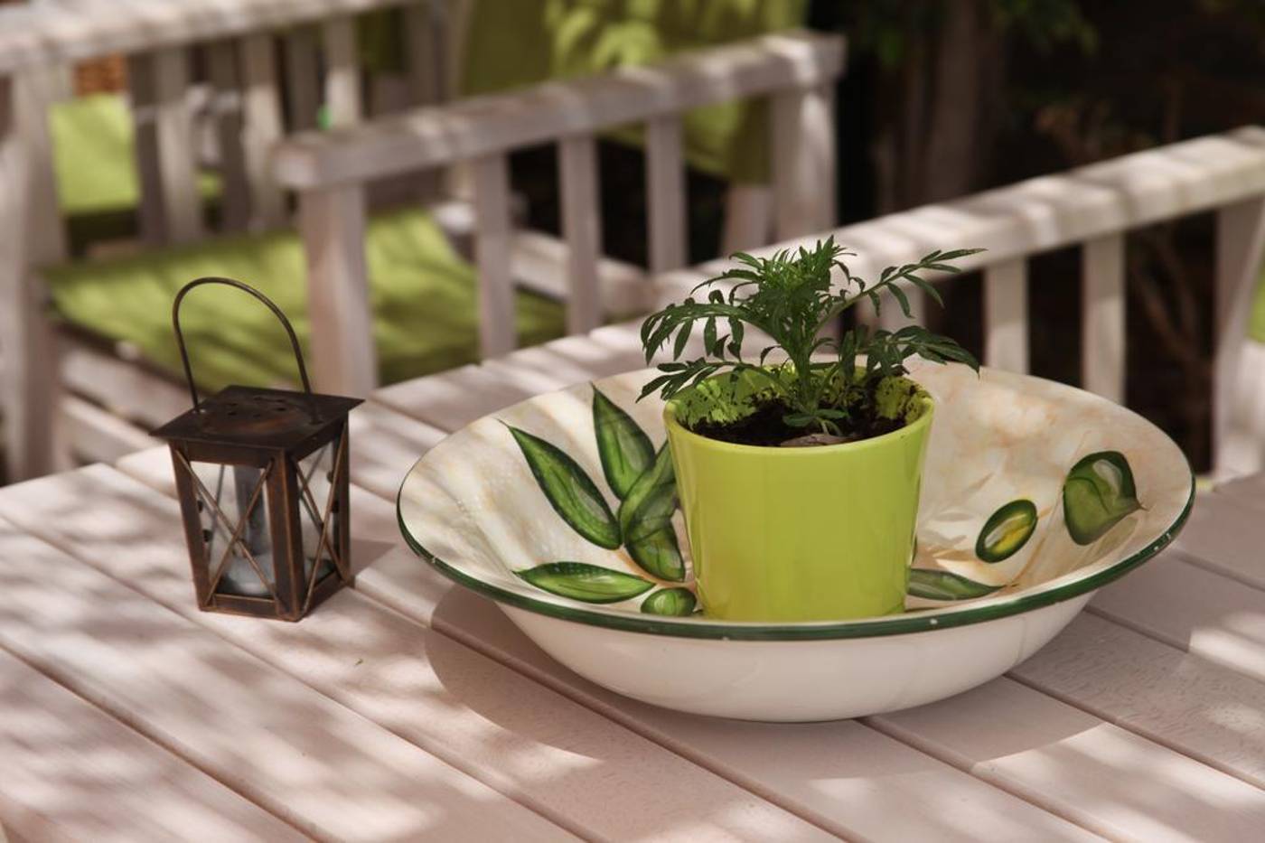 Elounda-Olive-Garden-Studios-General-view-9