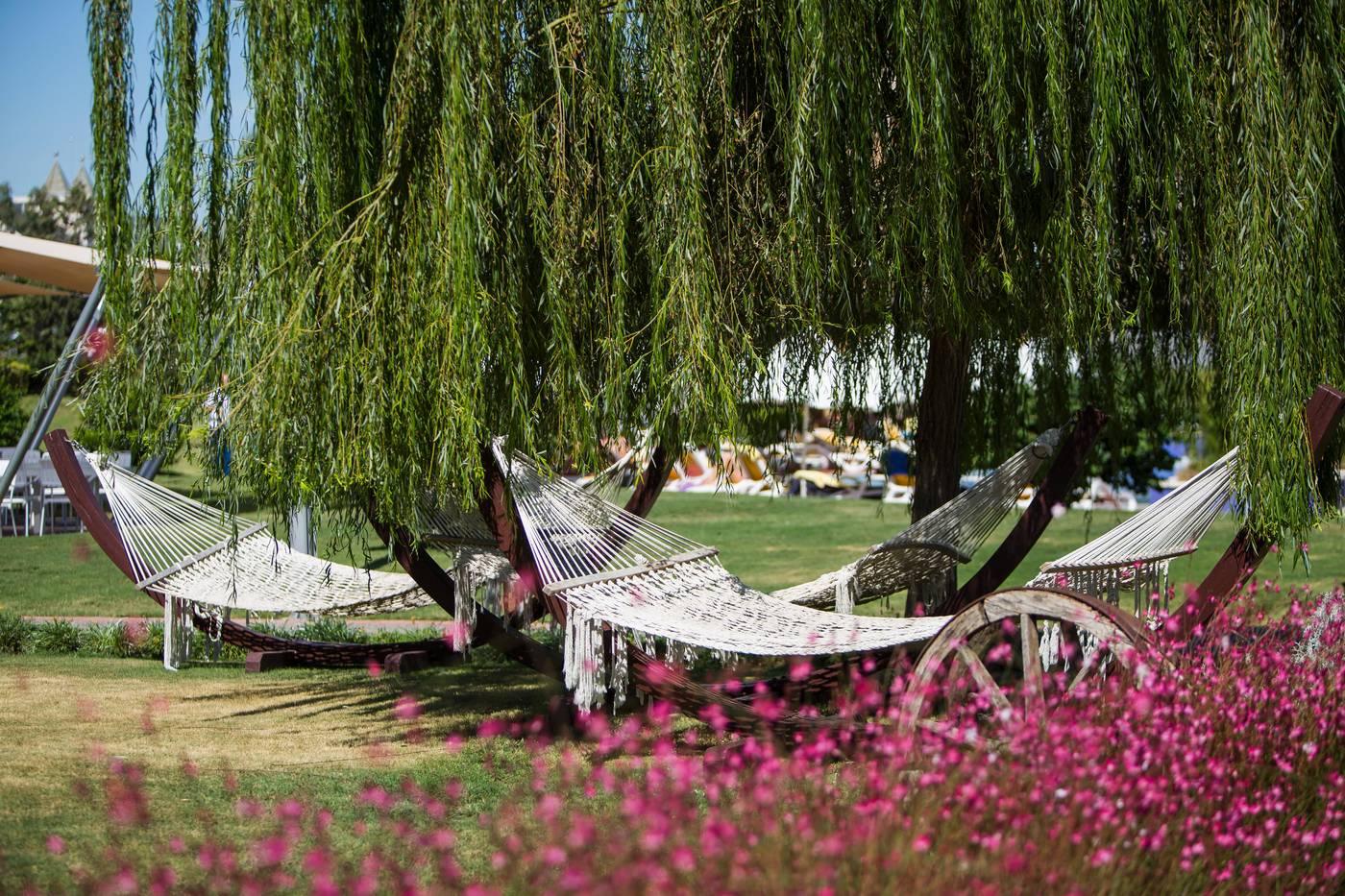 TUI-Blue-Xanthe-Terrace-26