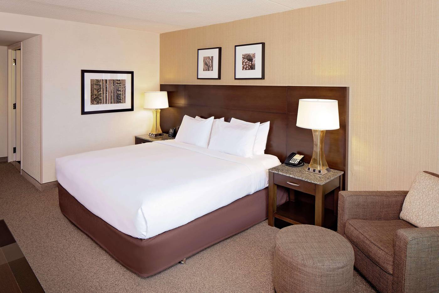 DoubleTree-by-Hilton-Hotel-Boston-Bayside-Room-20