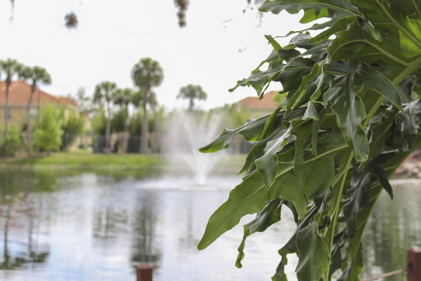 Hilton Vacation Club Polynesian Isles Kissimmee-United States-KISSIMMEE-General view-5
