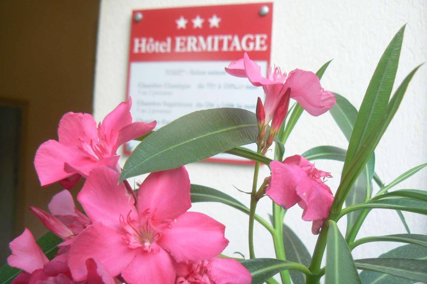 Hôtel ERMITAGE-France-LES ANGLES-General view-5