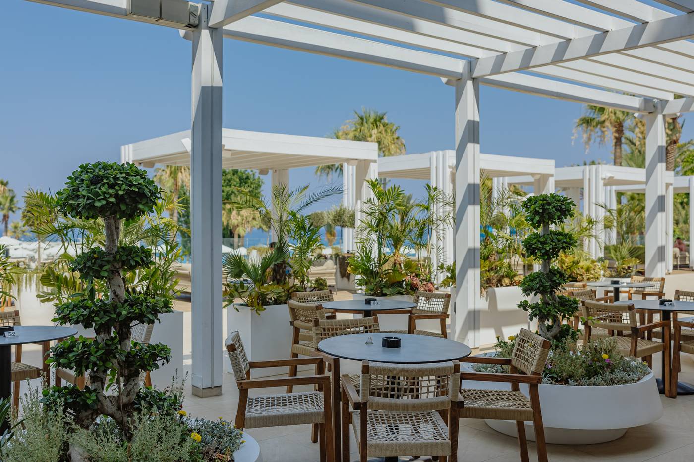 Golden-Coast-Bar-10