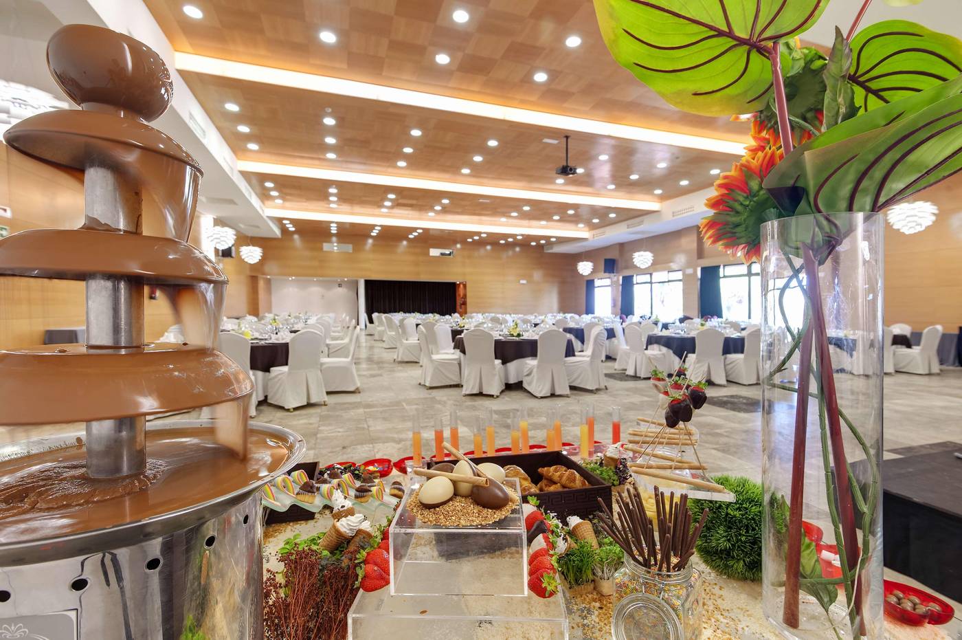 Barcelo-Marbella-Conferences-59