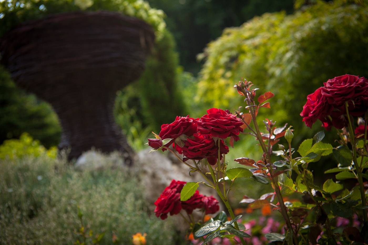 Hotel-Perla-General-view-20